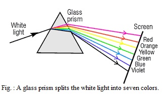 Draw the diagram of dispersion of light through prism and show the position of different. board Class 10 English Medium Notes & Question answer collection